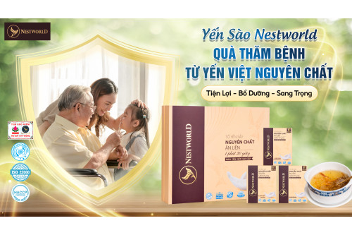 MUA YẾN THĂM BỆNH NÊN CHỌN LOẠI NÀO? 