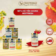 COMBO 6 HŨ YẾN TƯƠI CHƯNG SẴN NESTFRESH 