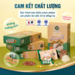 Thanh Năng Lượng Yến Sào Nestworld - Ảnh 6