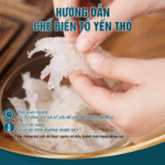 Nestori - Tổ yến thô 50g - Ảnh 3