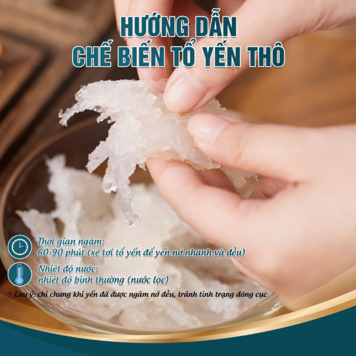 Nestori - Tổ yến thô 50g - Ảnh 3