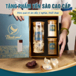 Nestori - Tổ yến thô 100g - Ảnh 7