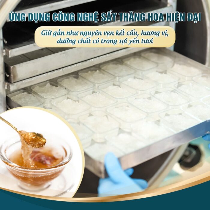 Tổ Yến Sấy Nguyên Chất Ăn Liền Nestworld vị Hoa Hồng Saffron - Ảnh 3