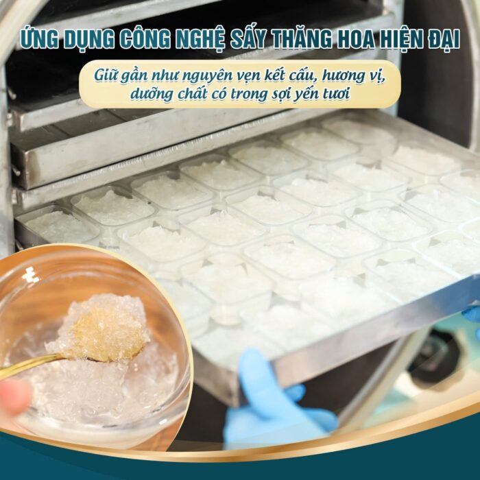 [Mới] - Tổ Yến Sấy Nguyên Chất Ăn Liền Nestworld vị Nguyên Bản - Ảnh 3