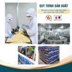 [Combo 2 Set 12 Lon] - Sữa Hạt Yến Sào Macca Và Hạt Sen - Ảnh 8