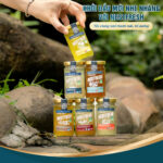 [6 Tặng 1] Combo 6 Hũ Yến Tươi Chưng Sẵn NestFresh 100ml - Ảnh 10