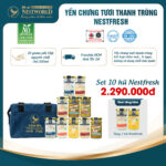 [10 Tặng 2] Combo 10 Hũ Yến Tươi Chưng Sẵn NestFresh 100ml