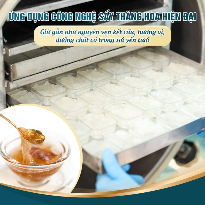 [Combo Mua 3 Tặng 1] - Tổ Yến Sấy Nguyên Chất Ăn Liền Nestworld - Ảnh 4