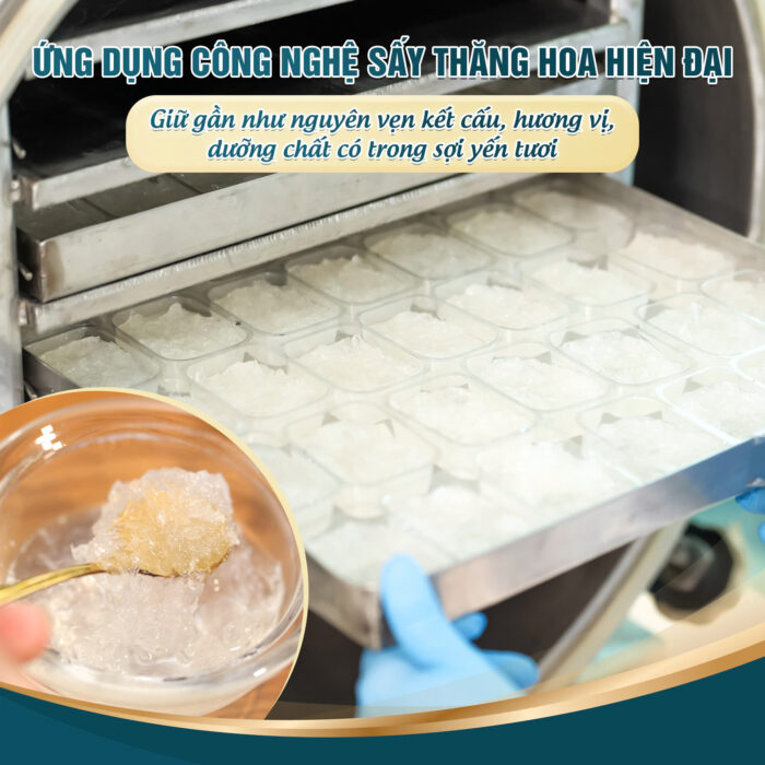 [Mới] - Tổ Yến Sấy Nguyên Chất Ăn Liền Nestworld vị Nguyên Bản - Ảnh 3