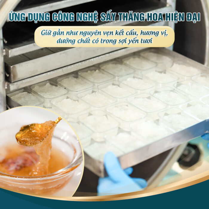 [Mới] - Tổ Yến Sấy Nguyên Chất Ăn Liền Nestworld vị Hoa Hồng Saffron - Ảnh 3