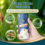 [Combo 2 Set 6 Lon] - Sữa Hạt Yến Sào Macca Và Hạt Sen - Ảnh 4