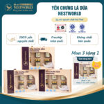 [Mới] - Combo 3 Set Yến Chưng Lá Dứa Nestworld