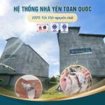 Yến Chưng Sẵn NestFresh Vị Dừa Tươi - Ảnh 8