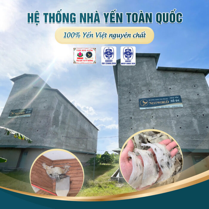 Yến Chưng Sẵn NestFresh Vị Dừa Tươi - Ảnh 8