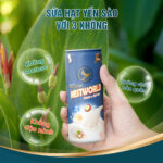 [Combo 2 Thùng] - Sữa Hạt Yến Sào Nestworld Macca Và Hạt Sen - Ảnh 7