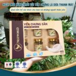 [Set 6] - Yến Chưng Lá Dứa Nestworld - Ảnh 11