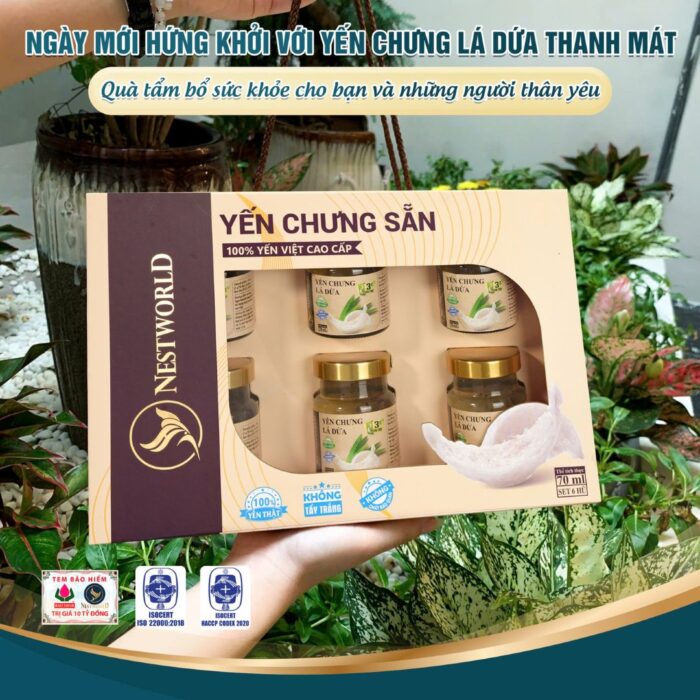 [Set 6] - Yến Chưng Lá Dứa Nestworld - Ảnh 11
