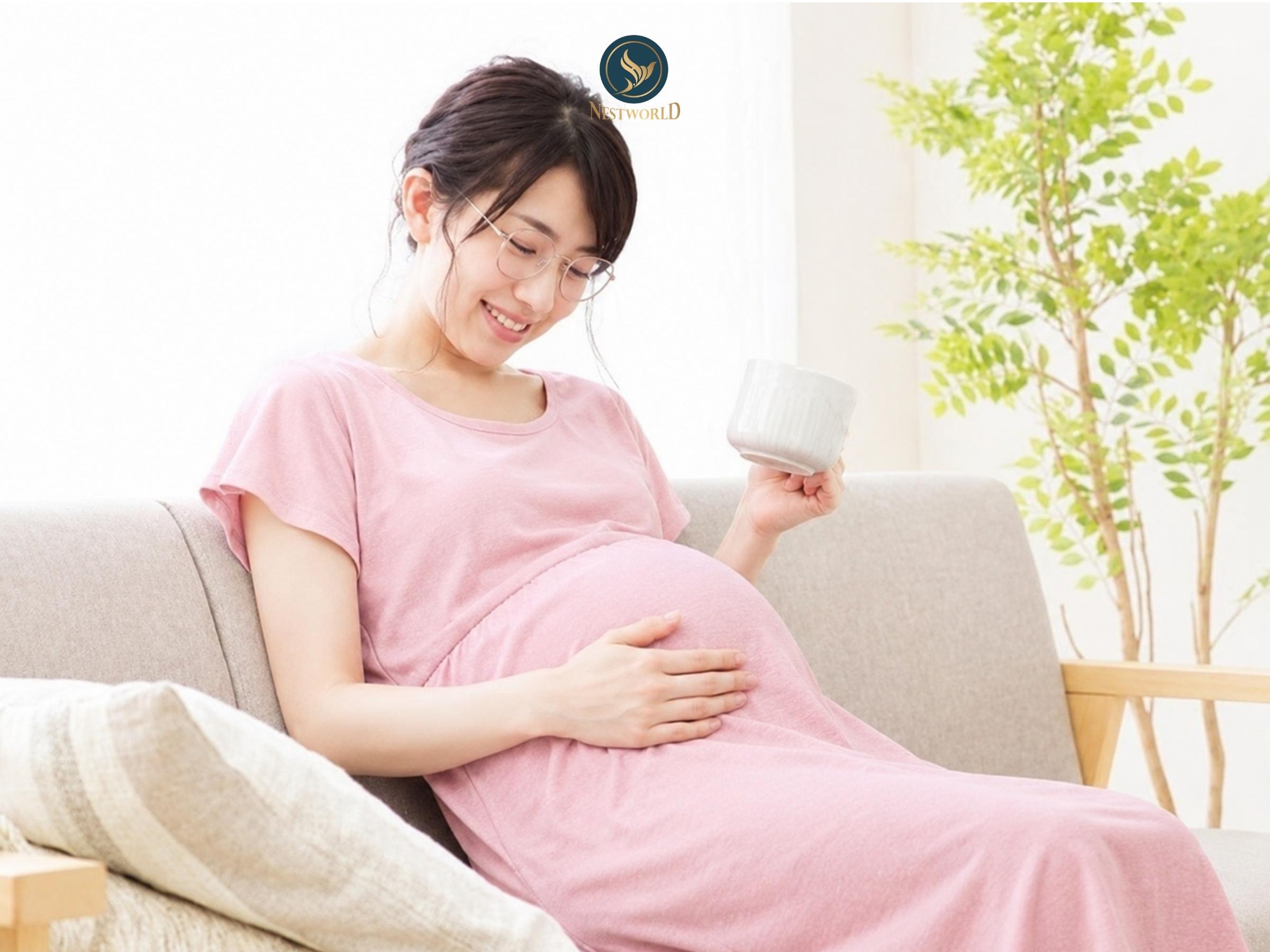 Top 5 lợi ích nổi bật của sữa hạt đối với sức khỏe mẹ bầu