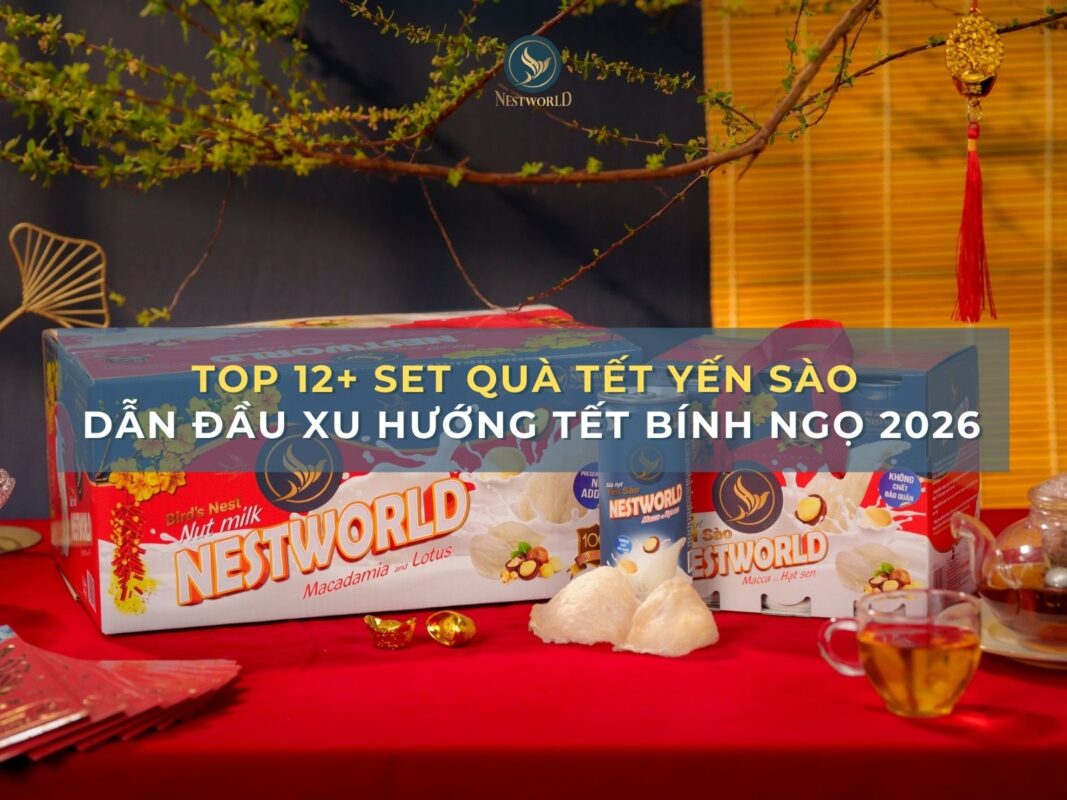 Top 12+ Set quà tết yến sào dẫn đầu xu hướng Tết Bính Ngọ 2026