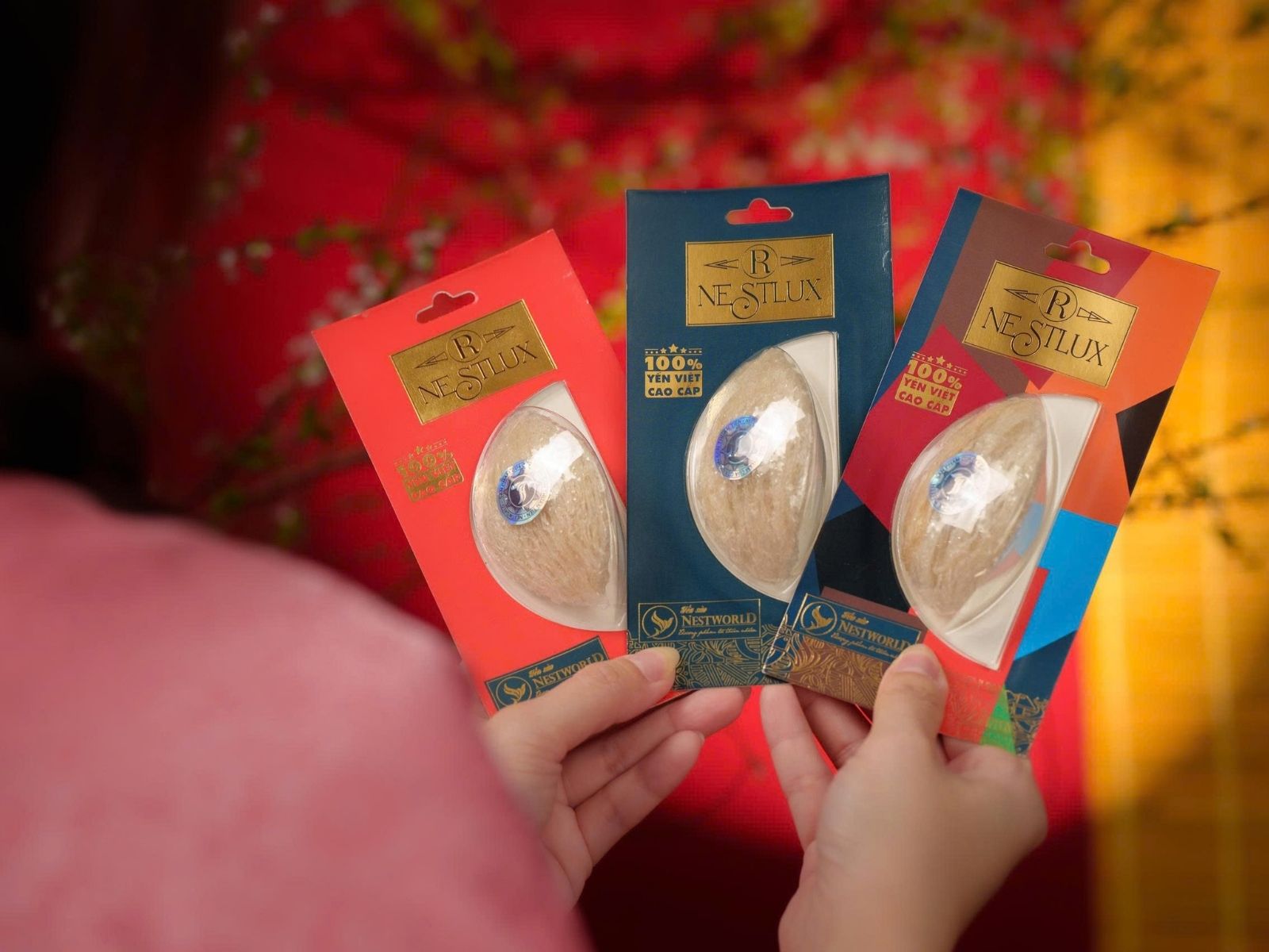 quà tết yến sào