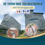 [Mới] - Set 6 Hũ Yến Chưng Lá Dứa Nestworld - Ảnh 8