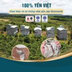 Tổ Yến Thô Nestori 50g - Ảnh 6