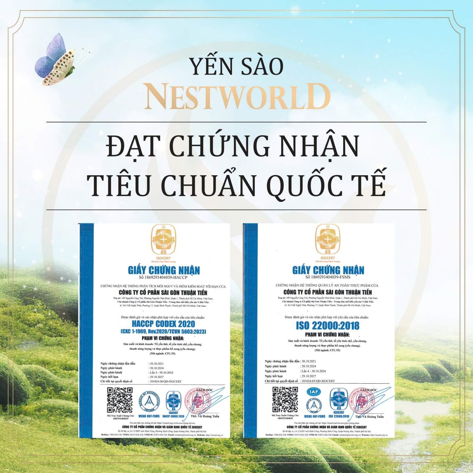 YẾN SÀO LOẠI 1 SỢI DÀY DÀI NGUYÊN CHẤT ĐẠT CHUẨN CAO CẤP