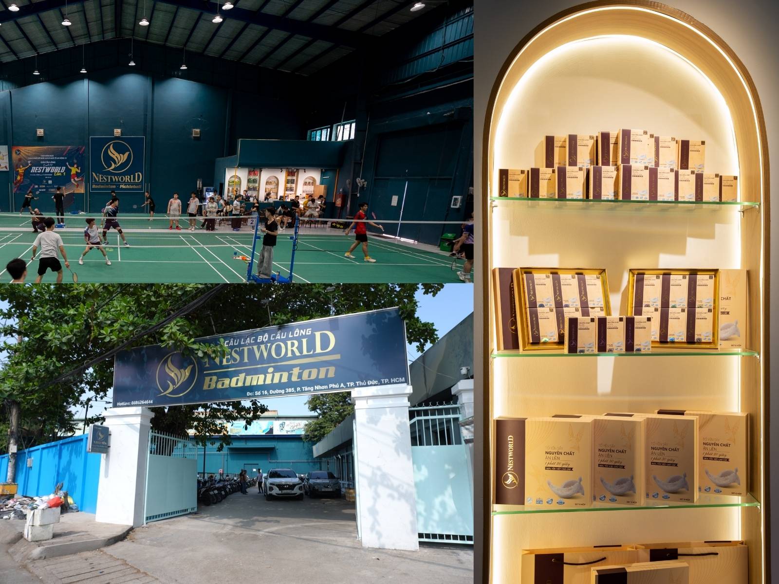 yến chưng sẵn gần đây