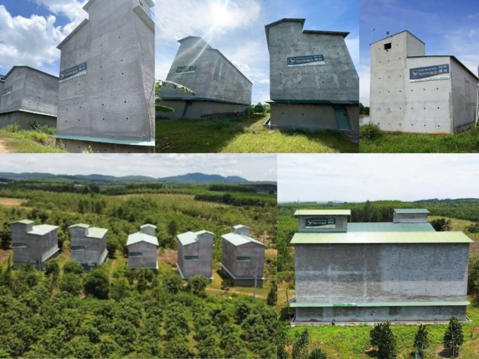 hệ thống nhà yến của Nestworld