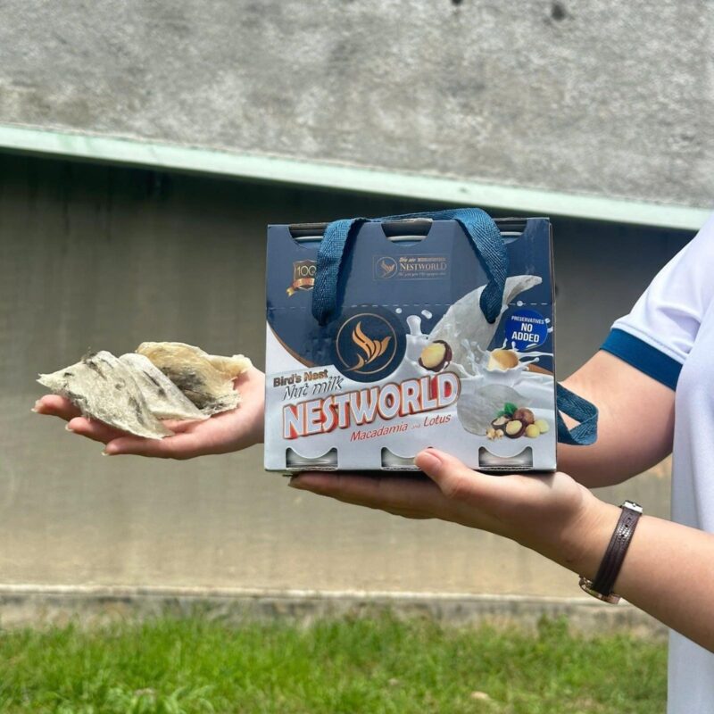 quà tặng yến sào