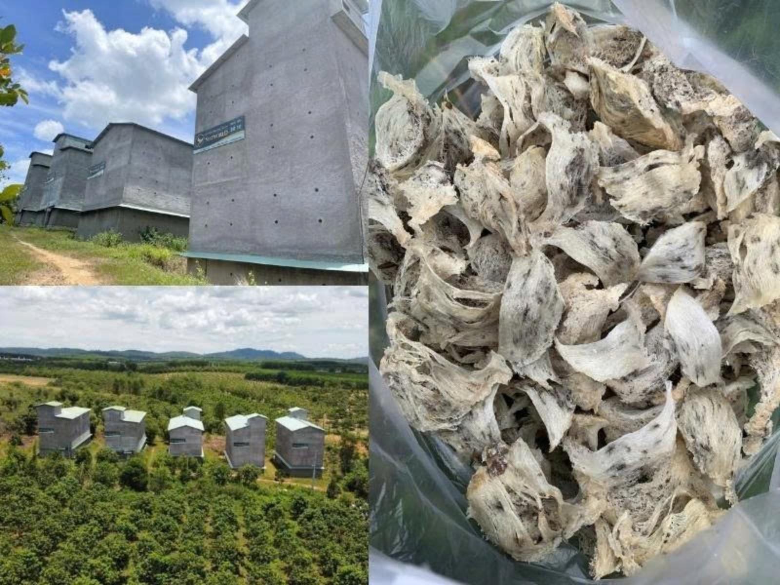 quà thăm người bệnh tiểu đường