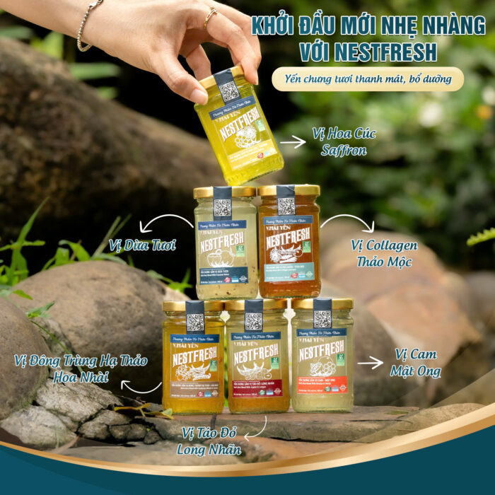 [Set 10] - Yến Chưng Sẵn NestFresh 100ml - Ảnh 9