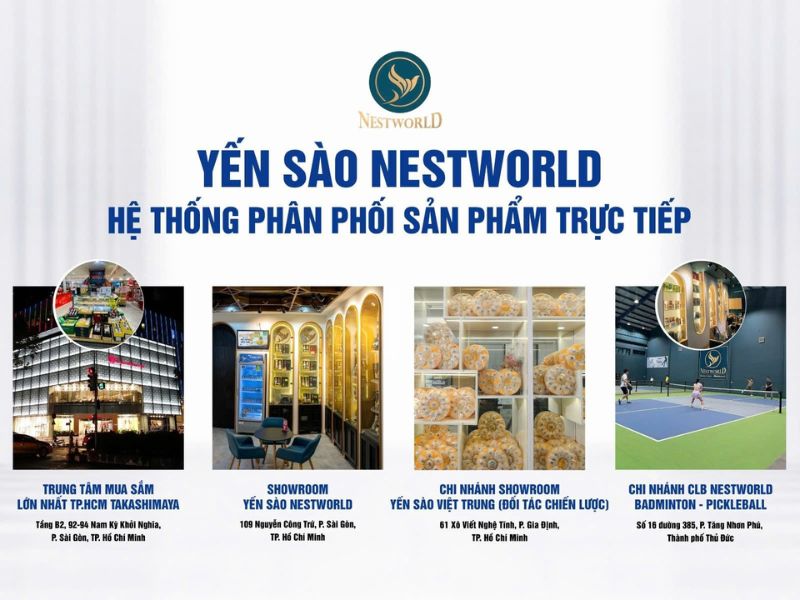 4 chi nhánh cửa hàng của Yến sào Nestworld