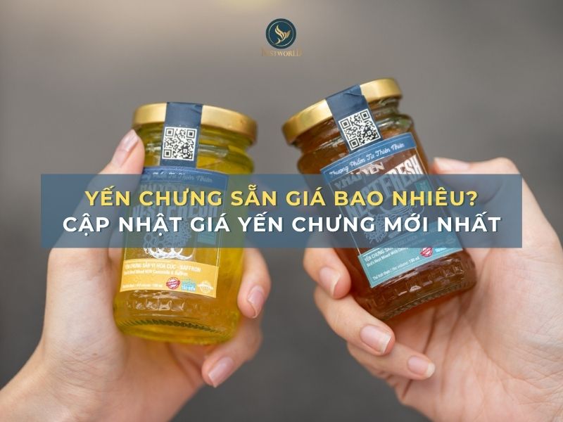 yến chưng sẵn giá bao nhiêu