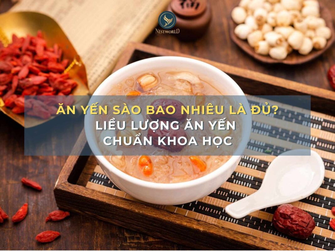 Ăn yến sào bao nhiêu là đủ? Liều lượng ăn yến chuẩn khoa học