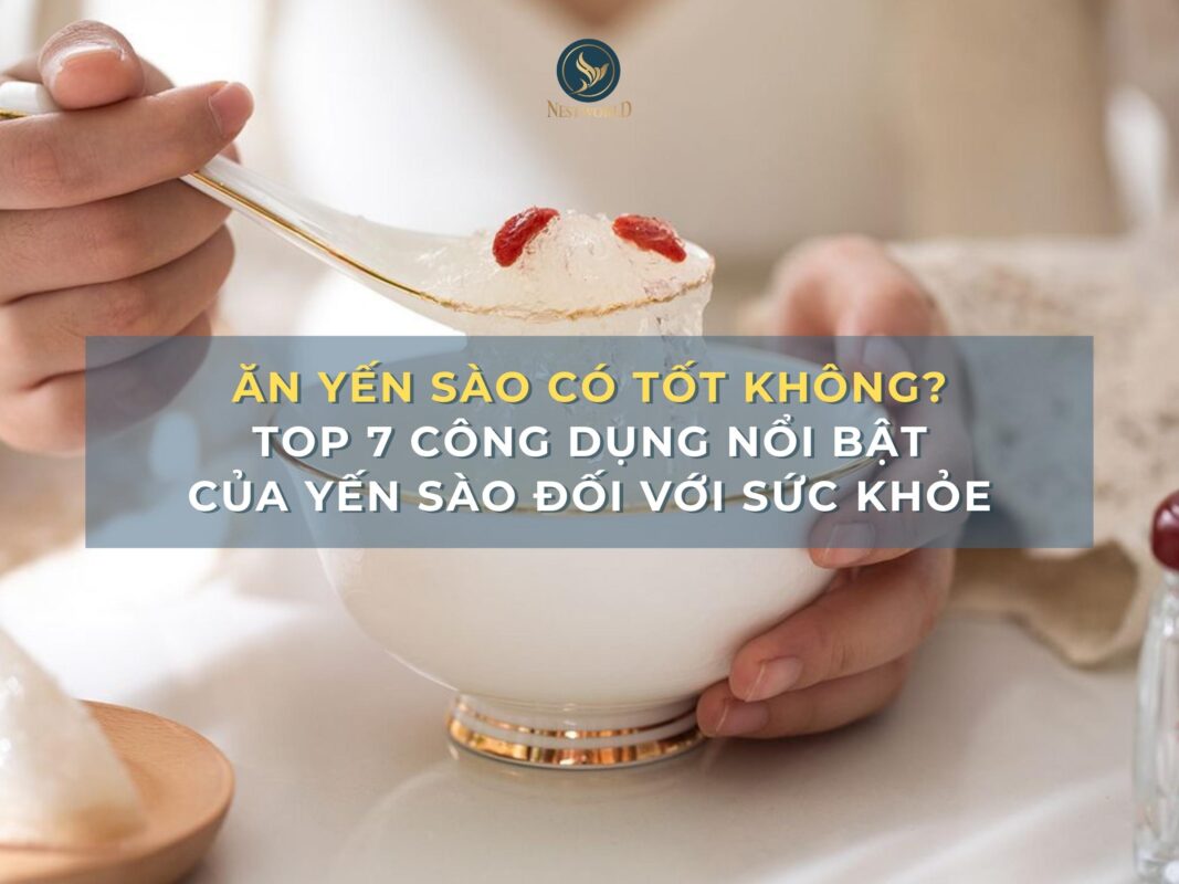 Ăn yến sào có tốt không? Top 7 công dụng nổi bật của yến sào đối với sức khỏe