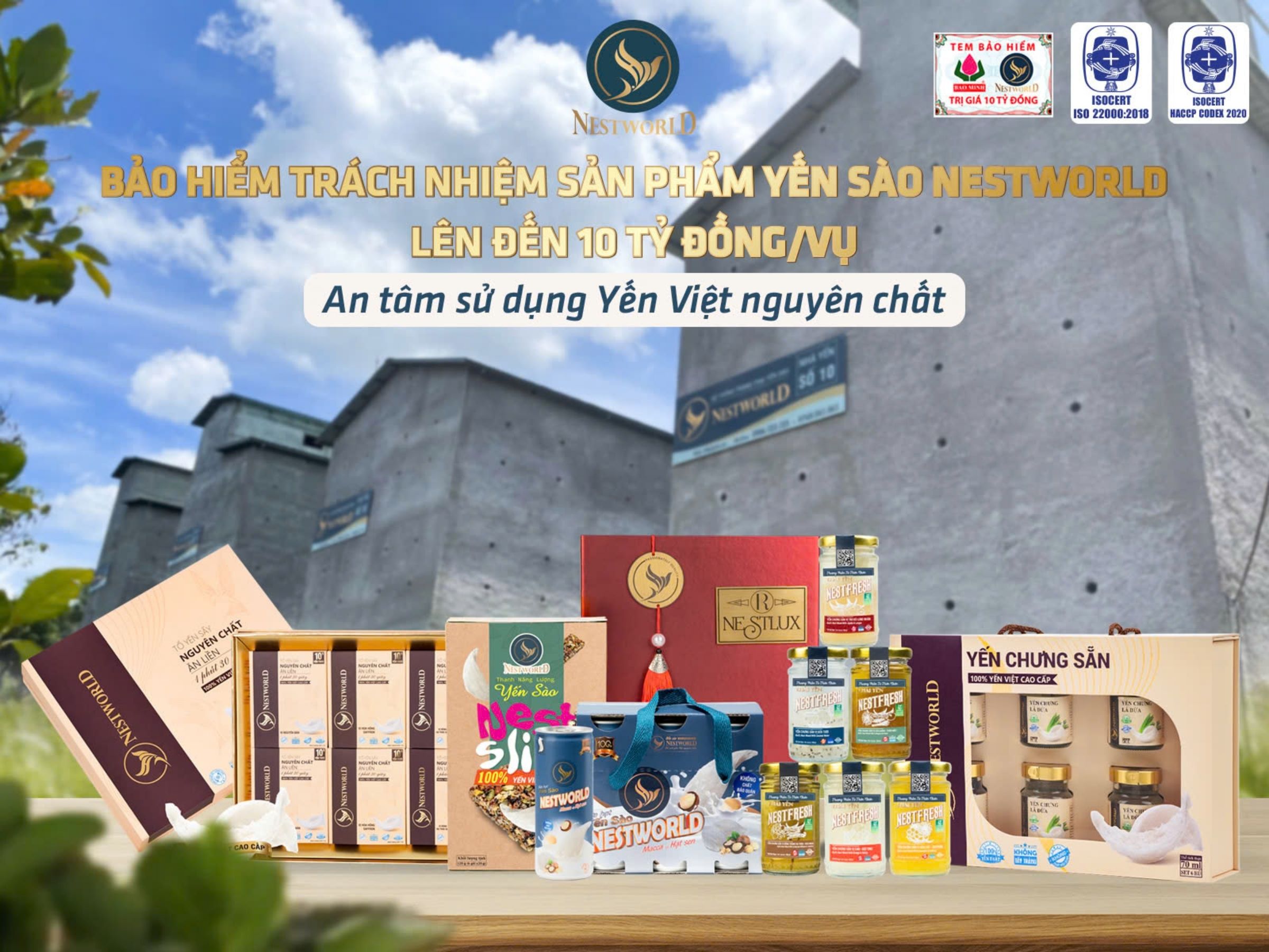 Nestworld – Thương hiệu yến sào tiện lợi cho dân văn phòng