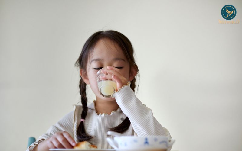 Sữa hạt là thực phẩm bổ sung giúp cân bằng dinh dưỡng