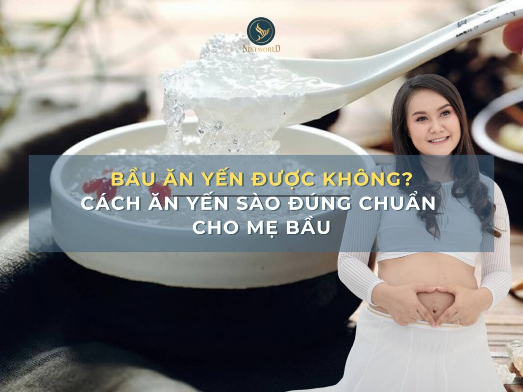 Bầu ăn yến được không? Cách ăn yến sào đúng chuẩn cho mẹ bầu 