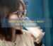 Uống sữa hạt hàng ngày có tốt không? Lợi ích và những điều cần biết về sữa hạt