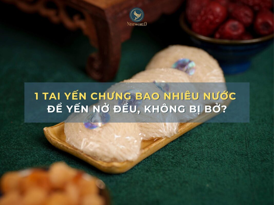 1 tai yến chưng bao nhiêu nước để yến nở đều, không bị bở?