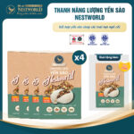 Combo 4 Hộp - Thanh Năng Lượng Yến Sào Nestworld