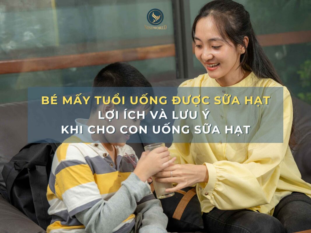 Bé mấy tuổi uống được sữa hạt? Lợi ích và lưu ý khi cho con uống sữa hạt