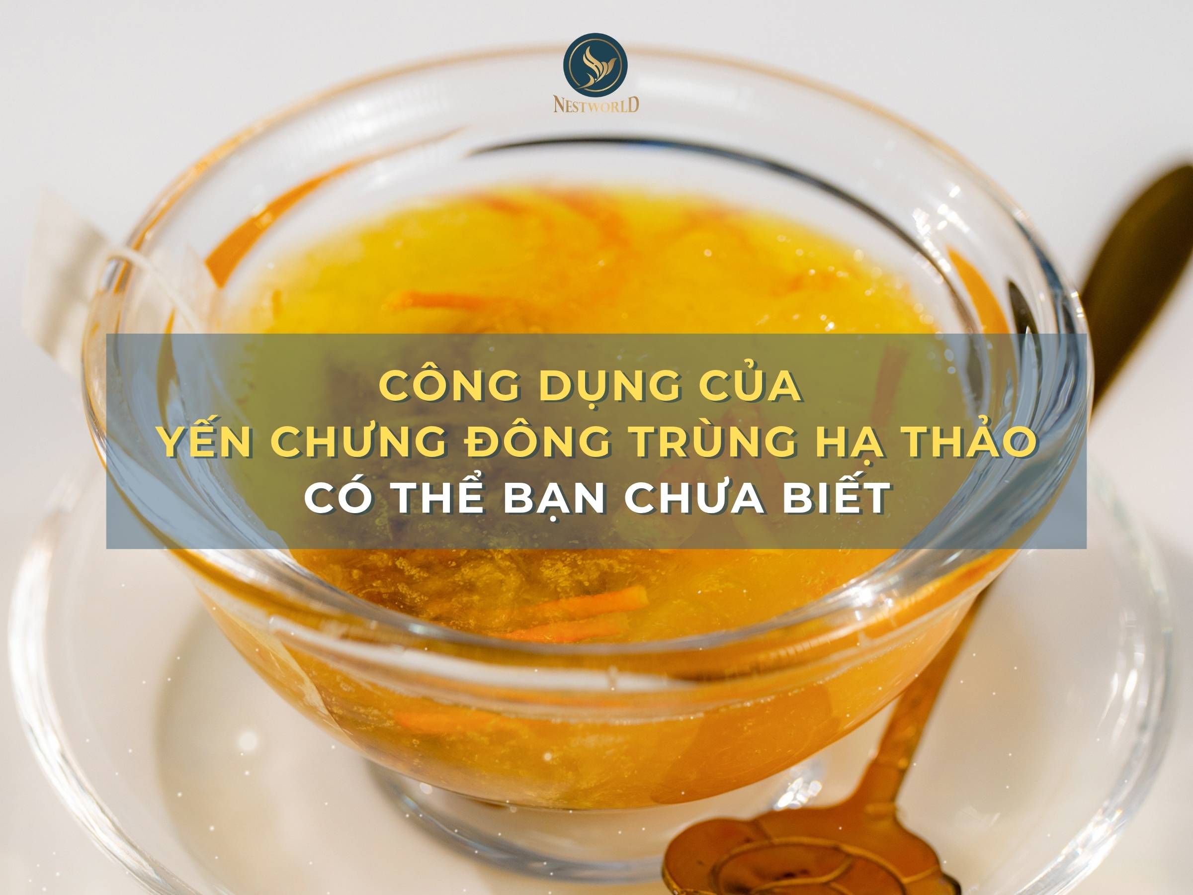 Công dụng của yến chưng đông trùng hạ thảo có thể bạn chưa biết