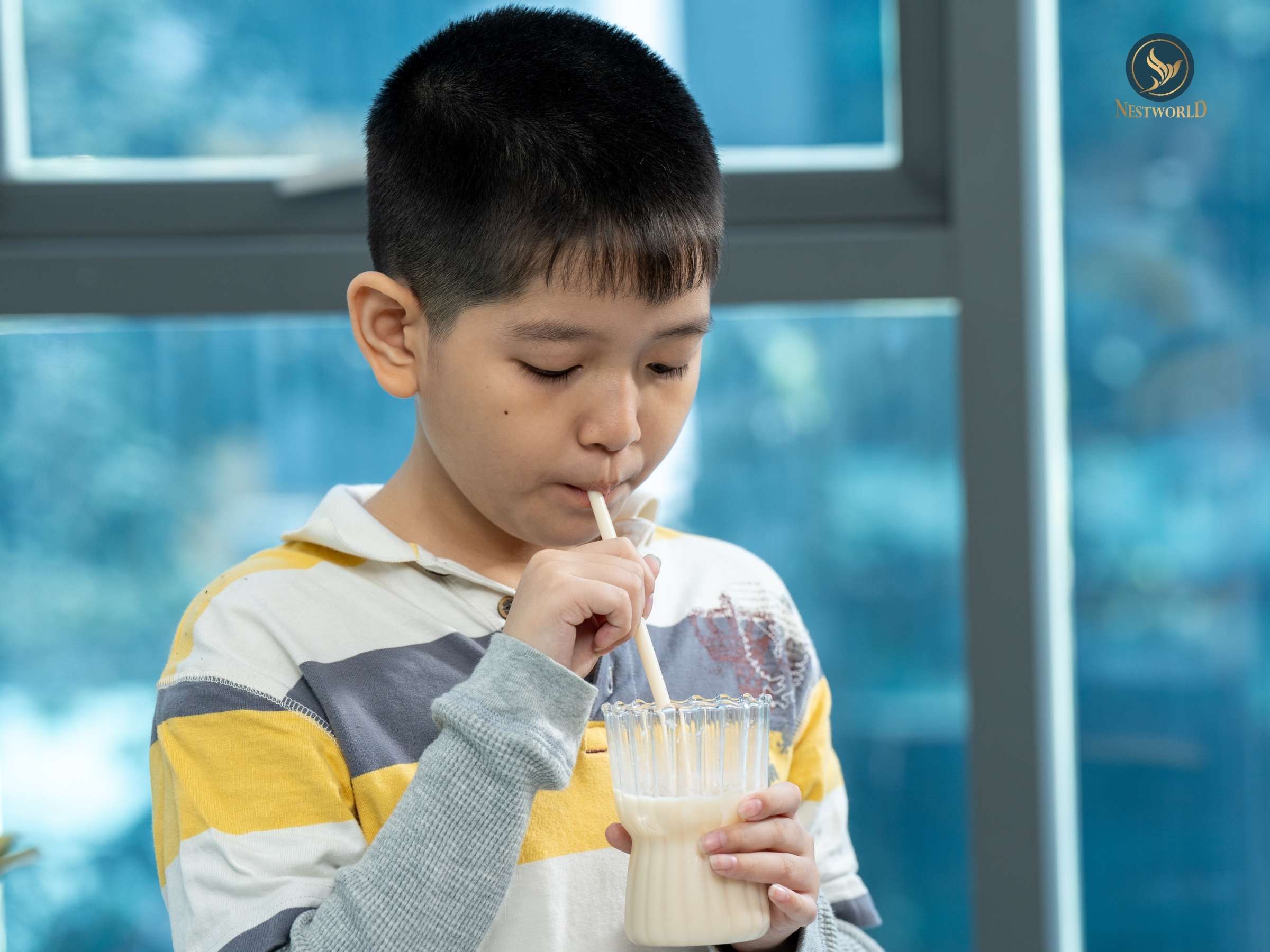 Những lưu ý khi cho bé uống sữa hạt